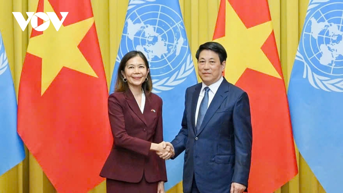 Vietnam pledges close cooperation with United Nations to realise SDGs